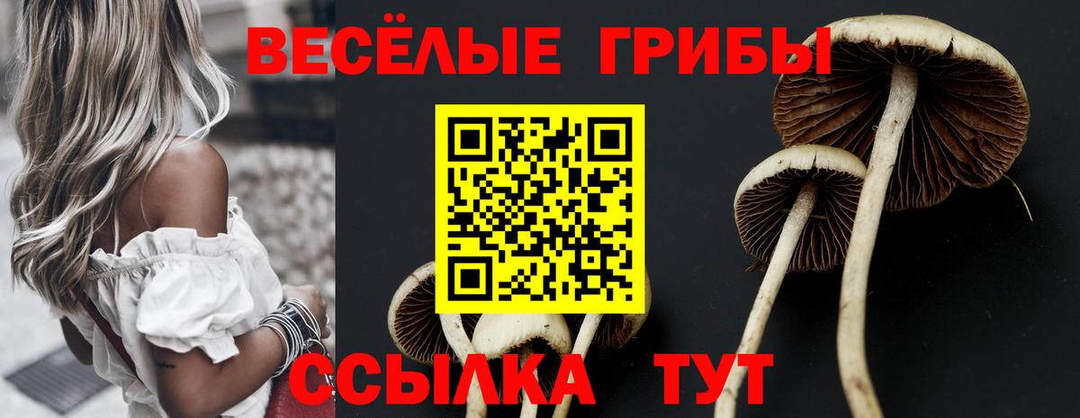 Псилоцибиновые грибы Cubensis Киреевск