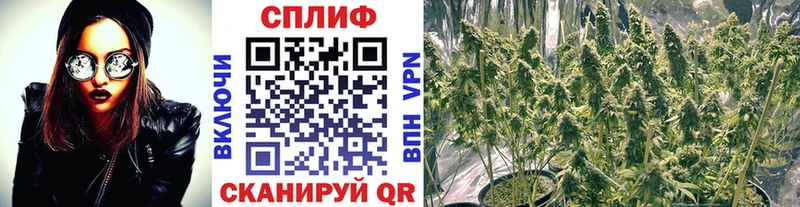 наркота  Киреевск  Каннабис Amnesia 